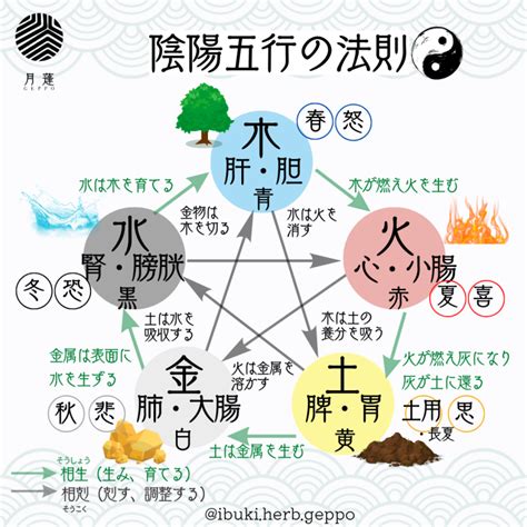 陰陽師五行|「陰陽五行説」とは？